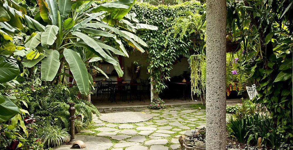 Hotel Arbol De Fuego San Salvador Exterior photo