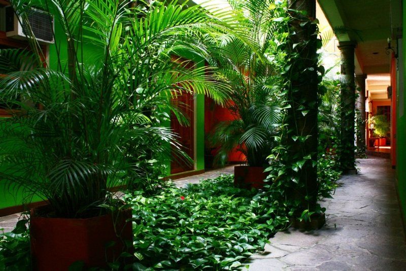 Hotel Arbol De Fuego San Salvador Exterior photo