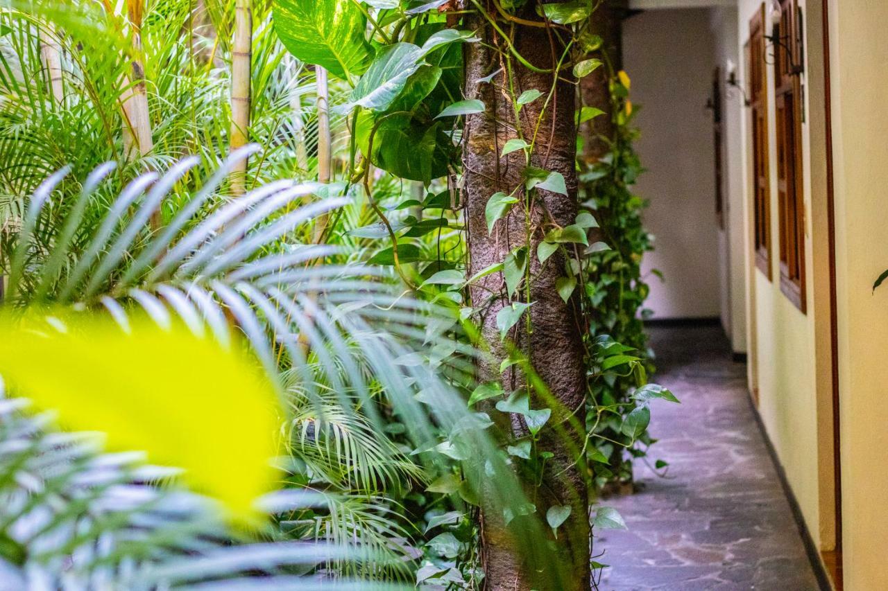 Hotel Arbol De Fuego San Salvador Exterior photo