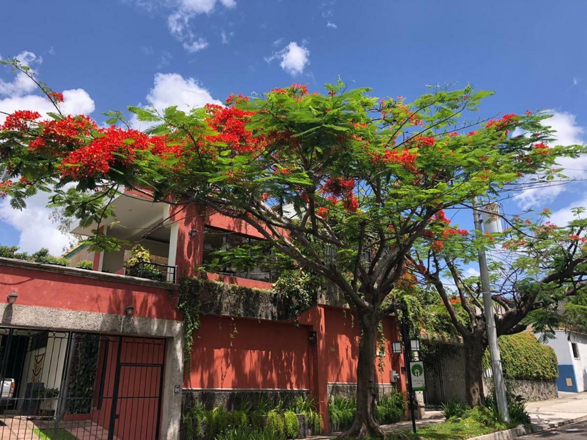 Hotel Arbol De Fuego San Salvador Exterior photo
